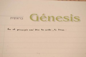 bergoglio-genesis
